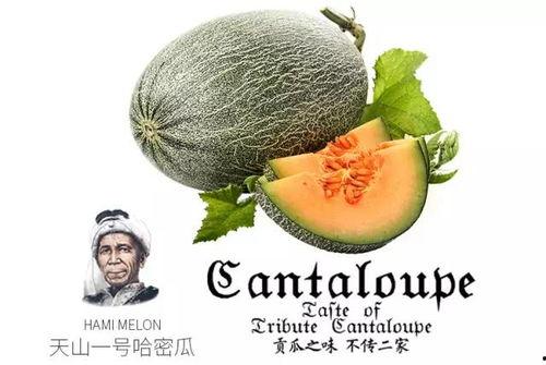 娱乐号吃瓜,吃瓜群众背后的故事