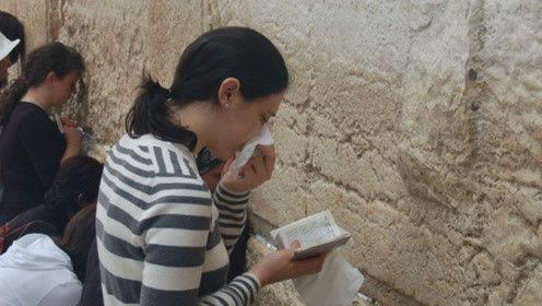 娱乐圈吃瓜君七七