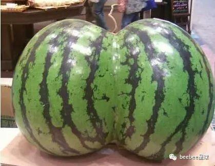 吃瓜群众在七零小说,吃瓜群众眼中的风云变幻