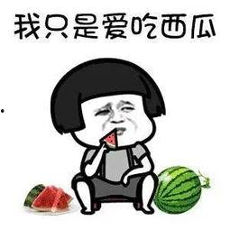 娱乐圈瓜吃啥意思,揭秘明星幕后故事与八卦传闻