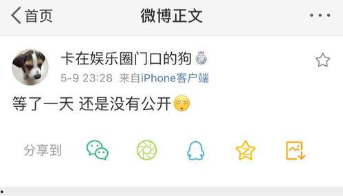 有没有吃瓜的爆料群,网络舆论背后的真相与争议