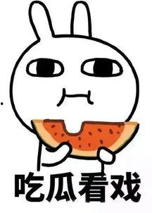 娱乐吃瓜酱素材,吃瓜酱带你领略明星幕后故事